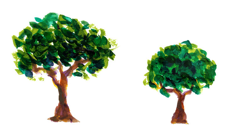 Photo of a smaller tree beside a larger tree, symbolically representing long term vs short term investment timelines.